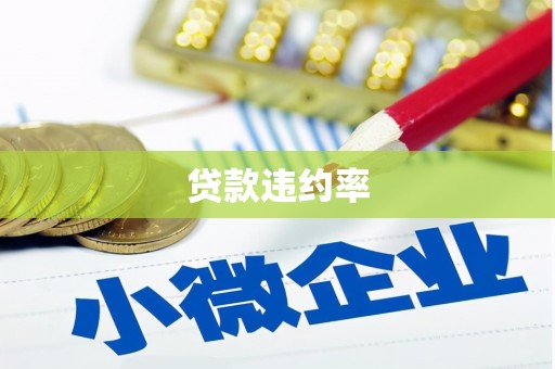民雄贷款违约率