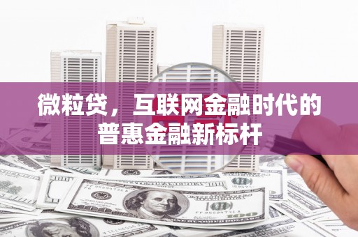 民雄微粒贷，互联网金融时代的普惠金融新标杆