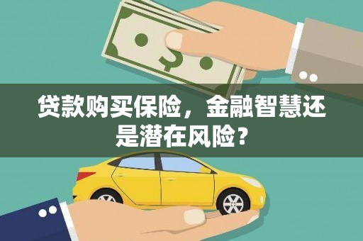 民雄贷款购买保险，金融智慧还是潜在风险？