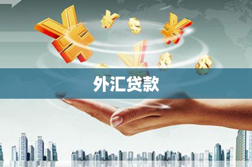 民雄外汇贷款