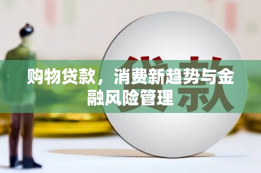 民雄购物贷款，消费新趋势与金融风险管理