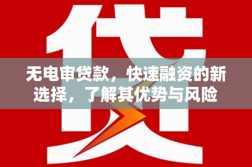 民雄无电审贷款，快速融资的新选择，了解其优势与风险