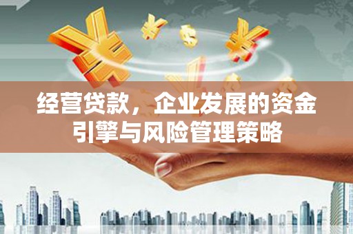 民雄经营贷款，企业发展的资金引擎与风险管理策略