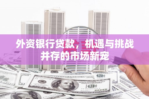 民雄外资银行贷款，机遇与挑战并存的市场新宠