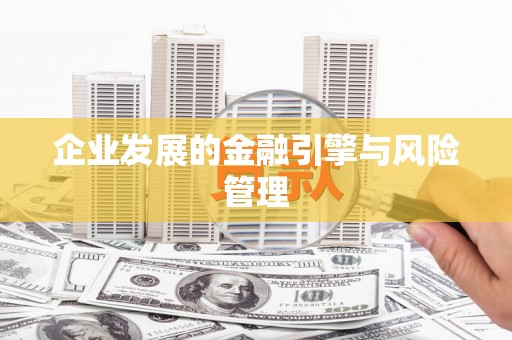 民雄企业发展的金融引擎与风险管理