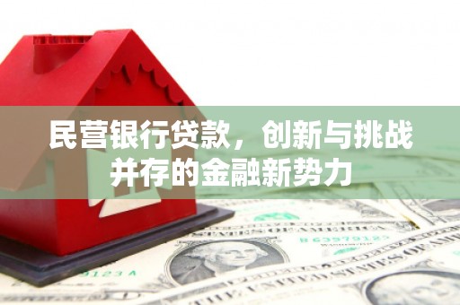 民雄民营银行贷款，创新与挑战并存的金融新势力