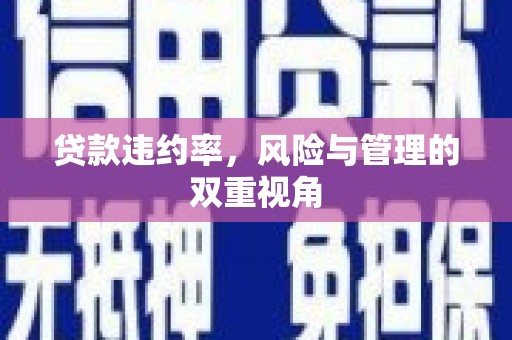 民雄贷款违约率，风险与管理的双重视角