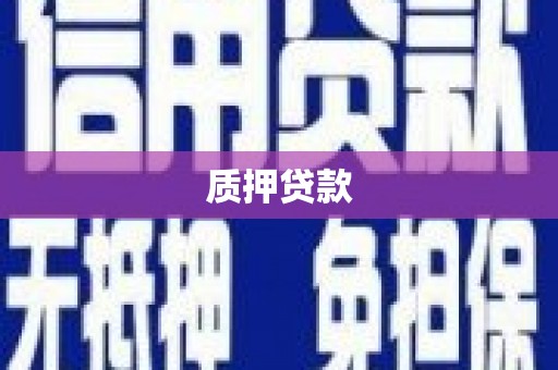 民雄质押贷款