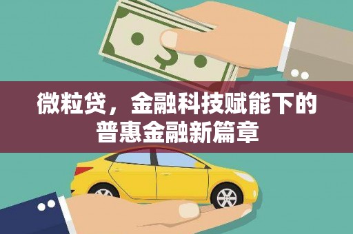 民雄微粒贷，金融科技赋能下的普惠金融新篇章