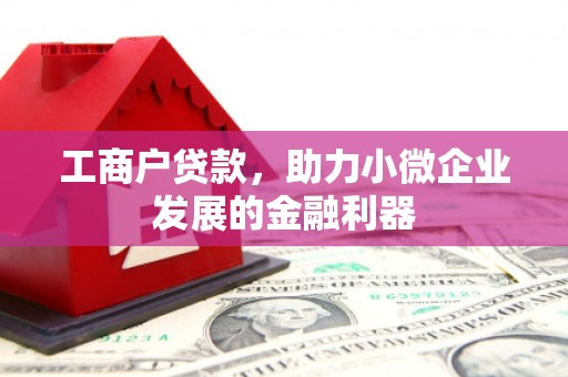 民雄工商户贷款，助力小微企业发展的金融利器