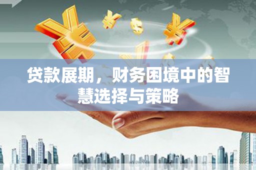 民雄贷款展期，财务困境中的智慧选择与策略