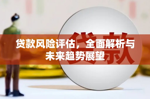 民雄贷款风险评估，全面解析与未来趋势展望