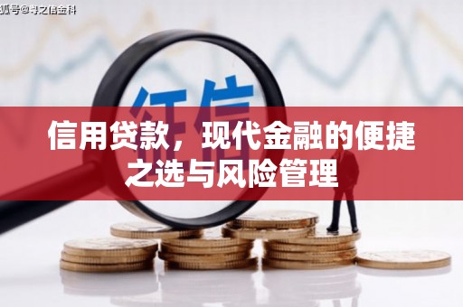 民雄信用贷款，现代金融的便捷之选与风险管理