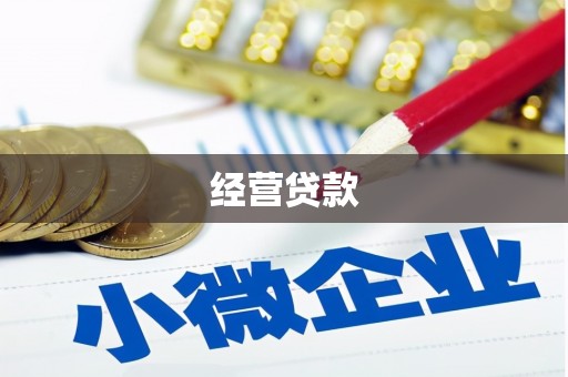 民雄经营贷款
