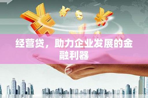 民雄经营贷，助力企业发展的金融利器