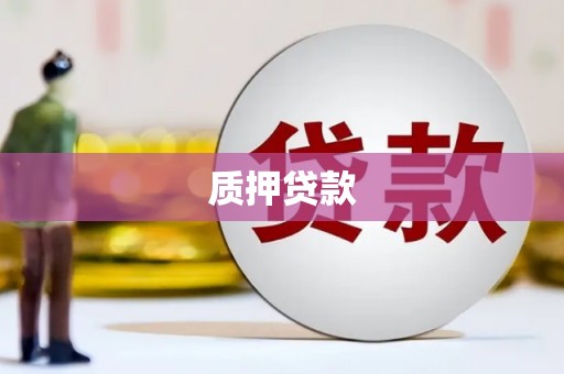 民雄质押贷款