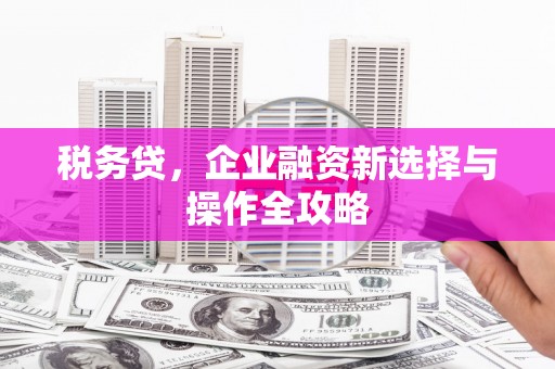 民雄税务贷，企业融资新选择与操作全攻略