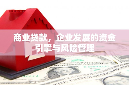 民雄商业贷款，企业发展的资金引擎与风险管理