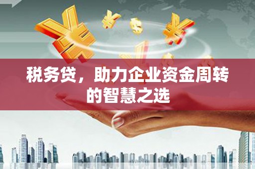民雄税务贷，助力企业资金周转的智慧之选