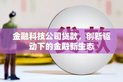 民雄金融科技公司贷款，创新驱动下的金融新生态