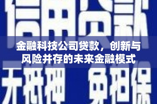 民雄金融科技公司贷款，创新与风险并存的未来金融模式