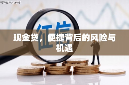 民雄现金贷，便捷背后的风险与机遇