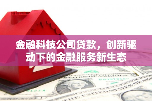民雄金融科技公司贷款，创新驱动下的金融服务新生态