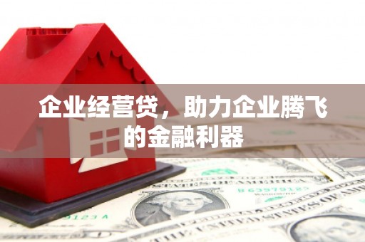 民雄企业经营贷，助力企业腾飞的金融利器