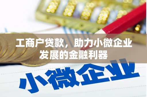 民雄工商户贷款，助力小微企业发展的金融利器