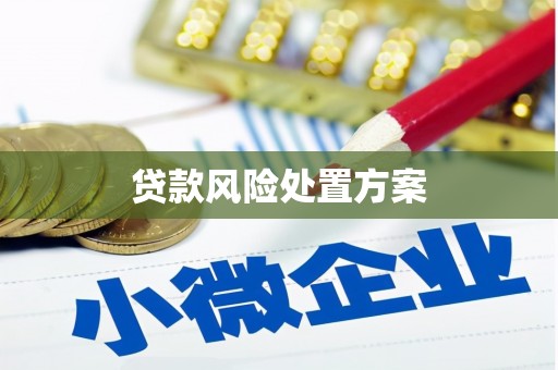 民雄贷款风险处置方案