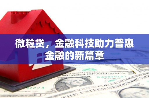 民雄微粒贷，金融科技助力普惠金融的新篇章