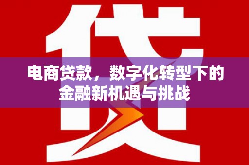 民雄电商贷款，数字化转型下的金融新机遇与挑战