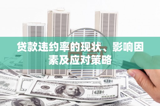 民雄贷款违约率的现状、影响因素及应对策略