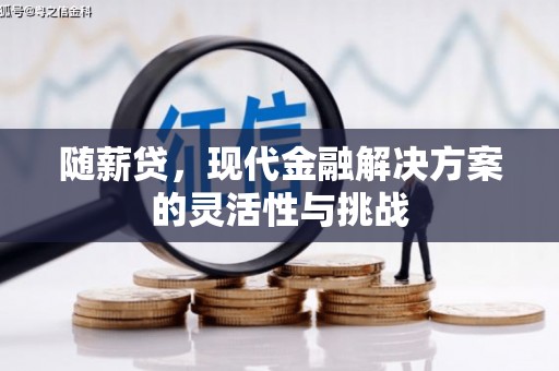 民雄随薪贷，现代金融解决方案的灵活性与挑战