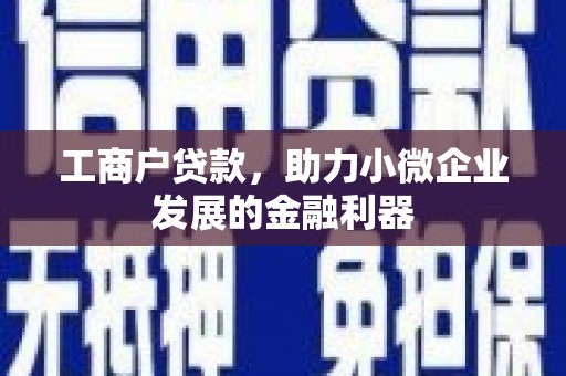 民雄工商户贷款，助力小微企业发展的金融利器