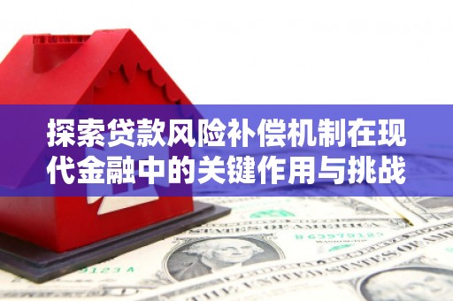 民雄探索贷款风险补偿机制在现代金融中的关键作用与挑战