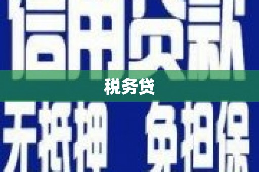 民雄税务贷