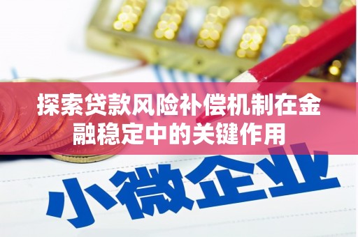 民雄探索贷款风险补偿机制在金融稳定中的关键作用
