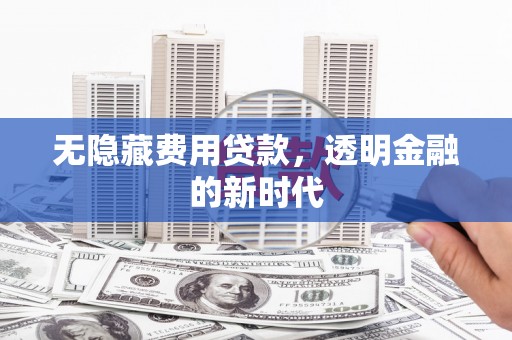民雄无隐藏费用贷款，透明金融的新时代