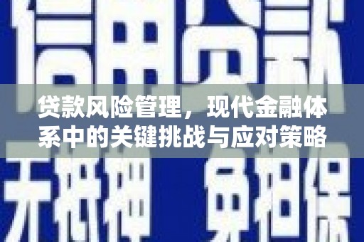 民雄贷款风险管理，现代金融体系中的关键挑战与应对策略