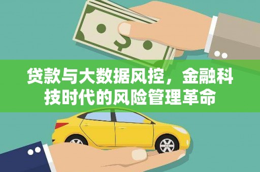 民雄贷款与大数据风控，金融科技时代的风险管理革命