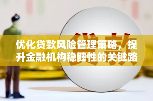 民雄优化贷款风险管理策略，提升金融机构稳健性的关键路径