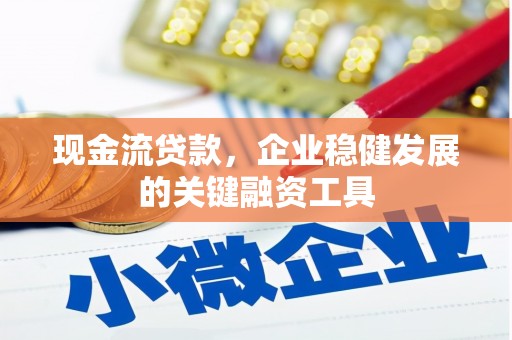 民雄现金流贷款，企业稳健发展的关键融资工具