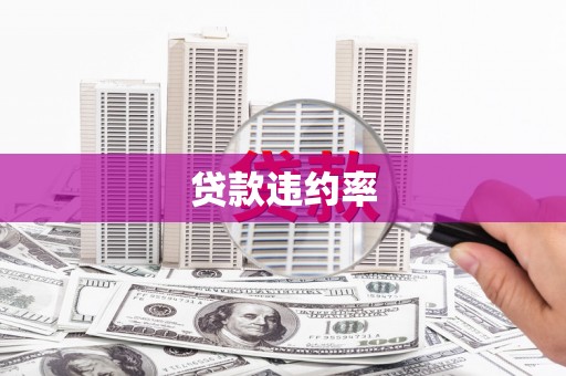 民雄贷款违约率