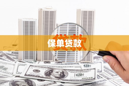 民雄保单贷款