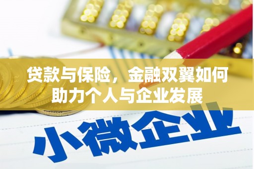 民雄贷款与保险，金融双翼如何助力个人与企业发展