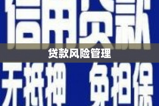 民雄贷款风险管理