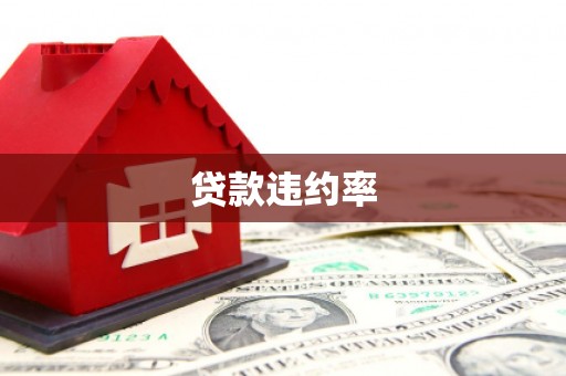 民雄贷款违约率