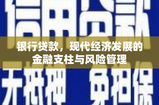 民雄银行贷款，现代经济发展的金融支柱与风险管理