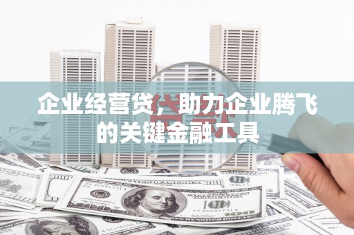 民雄企业经营贷，助力企业腾飞的关键金融工具
